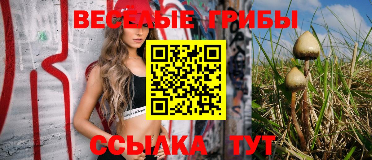 Гагарин  Псилоцибиновые грибы мухоморы  Галлюциногенные грибы MAGIC MUSHROOMS  где можно купить наркотик  Вход с VPN 