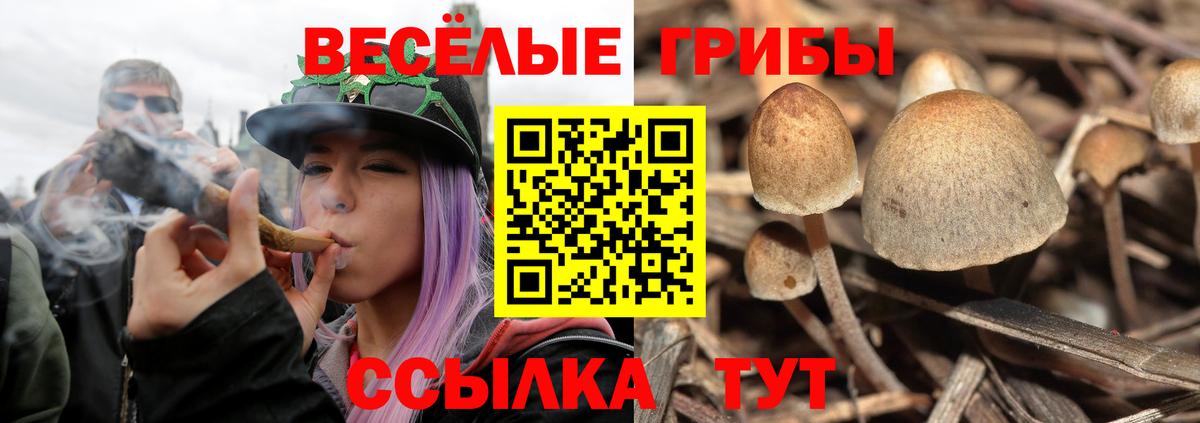 Псилоцибиновые грибы прущие грибы Гагарин